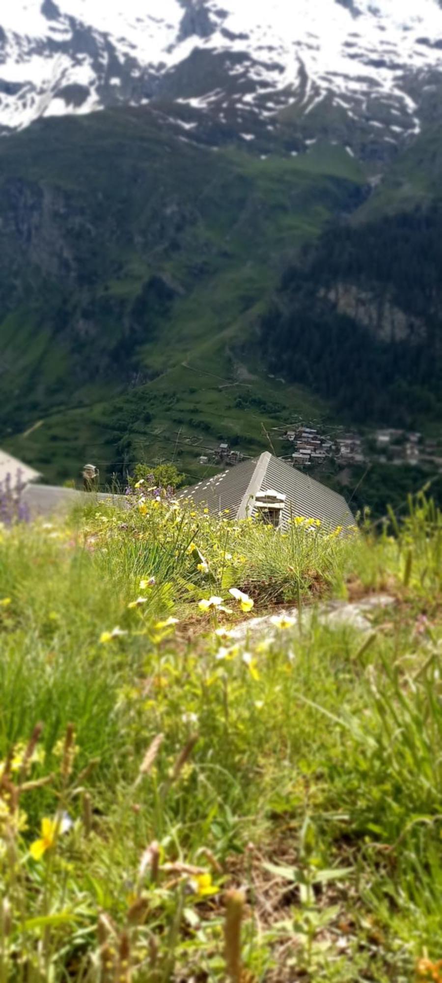 Les Campanules Appartement Bourg-Saint-Maurice Buitenkant foto